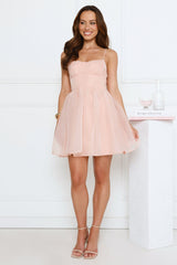 Seen In France Mini Dress Pink