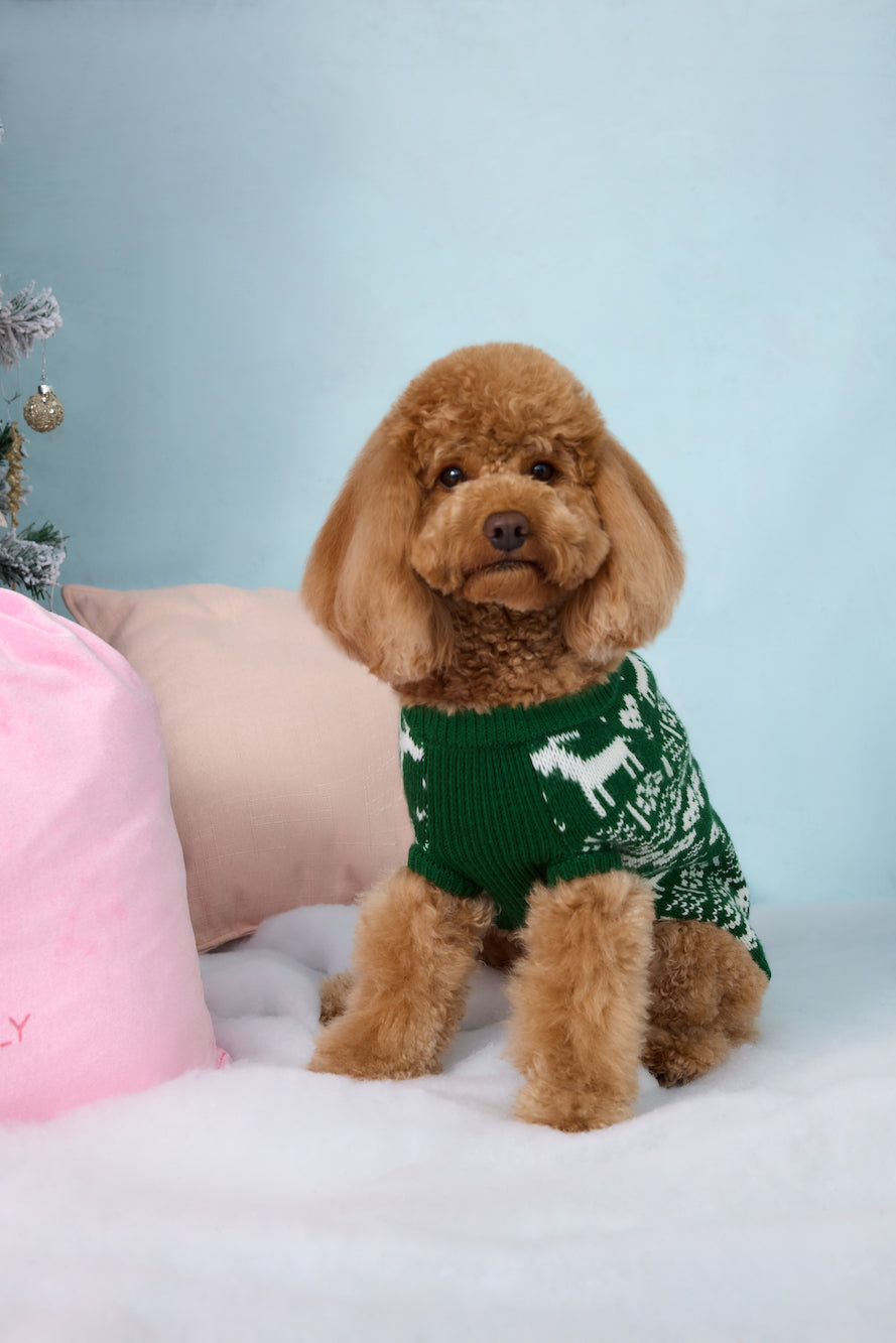 Reindeer Paws Dog Knit Sweater Green